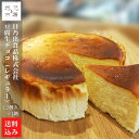 おからチーズケーキ（ホール5号サイズ）七飯町 豆腐大豆 日乃出食品株式会社 産地直送 送料無料