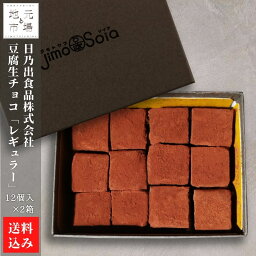 豆腐生チョコ（レギュラー）12個入×2 七飯町 豆腐大豆 日乃出食品株式会社 産地直送 送料無料