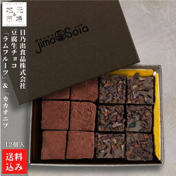 豆腐生チョコ「ラムフルーツ」&「カカオニブ」計12個入 七飯町 豆腐大豆 日乃出食品株式会社 産地直送 送料無料