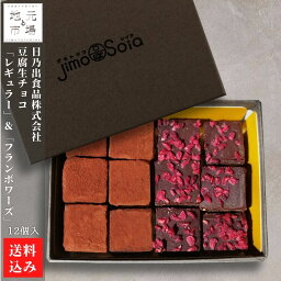 豆腐生チョコ「レギュラー」&「フランボワーズ」 計12個入 七飯町 豆腐大豆 日乃出食品株式会社 産地直送 送料無料