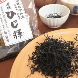 ひじき 北海道産 天日干し 40g×1 乾燥 ヒジキ 海峡 ひじ輝 木古内町 新道興産 送料無料