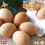 平飼い 有精卵 朝採り 48個 (44個+4個割れ保証) 岡崎おうはん ななエッグ 産地直送 北海道 大沼 株式会社GAC 送料無料