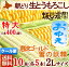 お中元 トウモロコシ 北海道 食べ比べ 【雪の妖精 恵味ゴールド】L〜2Lサイズ 10本 詰め合わせ お中元 ギフト 朝もぎ直送【函館市 坂口農園】農家直送 産直 生とうもろこし スイートコーン ピュアホワイト ゴールドラッシュ 黄色 白 冷蔵