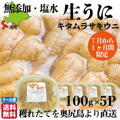 予約受付中【1ヵ月限定】奥尻島産 高級 天然生うに 島ウニ塩水パック 500g (100g×5) 北海道 キタムラサキウニ 塩水うに ミョウバン不使用 国産 雲丹 海鮮 海鮮丼 ギフト【高田水産】送料無料 産地直送 産直 クール便 冷蔵