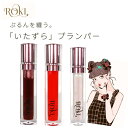 ポスト投函 ロキリップ プランパ