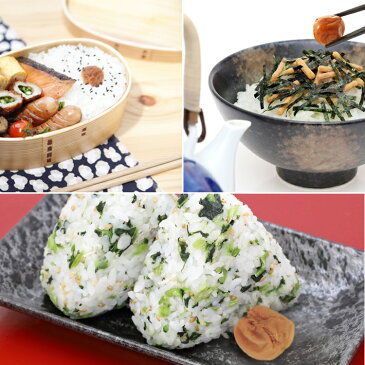 【ポイント5倍*10日20時00分〜23時59分迄】梅干し 訳あり 送料無料 紀州南高梅 はちみつ梅つぶれ 小粒 はちみつ漬け 食べやすい 訳あり つぶれ梅 紀州産 小粒 塩分約8% 小粒 まろやか 家庭用 新生活 梅干し お弁当 贈答品 【D】