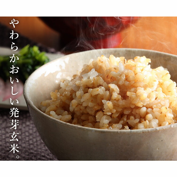 発芽玄米1.5kg玄米米おこめごはん食物繊維GABAはつがげんまいアイリスフーズ