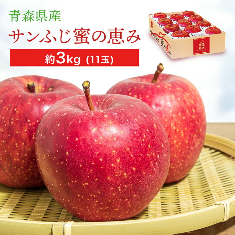 青森県産 サンふじ林檎 蜜の恵み ASR-E0Sギフト フルーツ りんご 青森 サンふじ 蜜 【TD】 【代引不可】要(4)