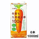 【6本】 冬育ち九州産人参100%ジュース 紙パックジュース 1000ml 115070にんじん 九州産 ジュース ニンジン 1L 国産 冬人参 紙パック 6本 ふくれん【D】