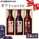 【3本セット】りんご酢 フルーツビネガー 黒酢 飲むお酢 ギフト プレゼント 360ml FV-24A内堀醸造 有機JAS オーガニック フルーツビネガー ビネガードリンク 飲用酢 ぶどうとブルーベリー 水割…