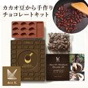 チョコレート 手作りキット カカオ豆 カカオ豆から手作りチョコレートキット 送料無料 チョコ Dari K darik ダリケー カカオ 手作り キット Bean to bar 親子 プレゼント ギフト 夏休み 自由研究 工作 課題 【TD】【代引不可】