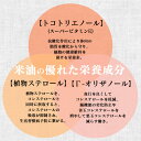 【3本セット】米油 こめ油 国産 築野食品 1.5kg×3本送料無料 油 つの食品 栄養機能食品 こめあぶら 1500ml 1500g 1.5L TSUNO 食用油 植物油 米糠油 健康 ヘルシー ビタミンE 抗酸化 まとめ買い 大容量 業務用【D】 3