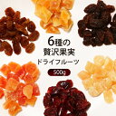 ドライフルーツ ミックス 500g 6種ミ