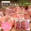 【2袋】生ハム切り落とし 500g 生ハム お得 切り落とし 塩味 冷凍 1kg ジューシー 赤身 脂 大容量 Tokka 【TD】 【代引不可】
