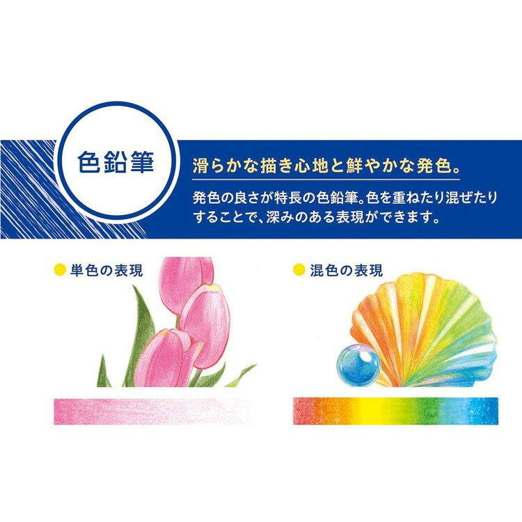 アートライン色鉛筆 24色セット KCP-24C/Hシヤチハタ アートライン 色鉛筆 文房具 アートライン s-kodawari-10013819 食のこだわり総本舗 食彩館 サンプル画像2