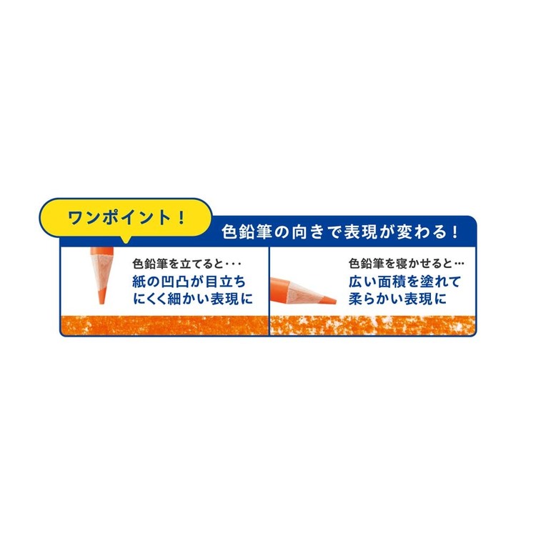 アートライン色鉛筆 24色セット KCP-24C/Hシヤチハタ アートライン 色鉛筆 文房具 アートライン s-kodawari-10013819 食のこだわり総本舗 食彩館 サンプル画像3