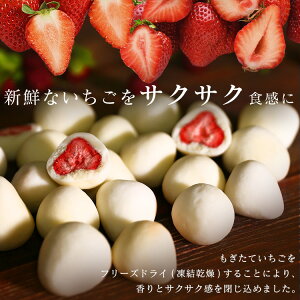 いちごチョコ ストロベリーチョコ フリーズドライチョコ チョコレート いちご 苺 スイーツ 個包装 洋菓子 送料無料 チョコ掛けイチゴ スイーツ ホワイトチョコ 300g 苺 スイーツ お菓子 贈り物 ギフト プレゼント お試し おためし