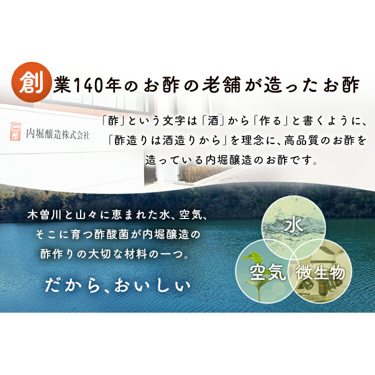 【6本セット】フルーツビネガー全種セットFV-30A内堀フルーツビネガー飲用酢りんご酢ざくろぶどうとブルーベリーレモンライム水割り炭酸割飲む酢【D】