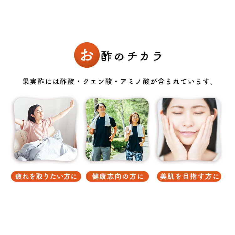 【6本セット】フルーツビネガー全種セットFV-30A内堀フルーツビネガー飲用酢りんご酢ざくろぶどうとブルーベリーレモンライム水割り炭酸割飲む酢【D】