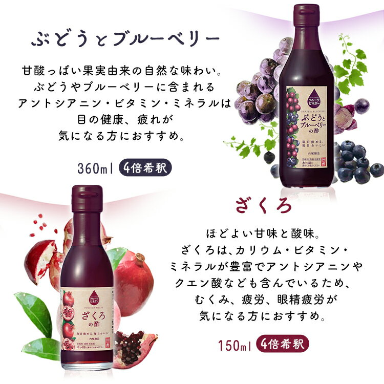 【6本セット】フルーツビネガー全種セットFV-30A内堀フルーツビネガー飲用酢りんご酢ざくろぶどうとブルーベリーレモンライム水割り炭酸割飲む酢【D】