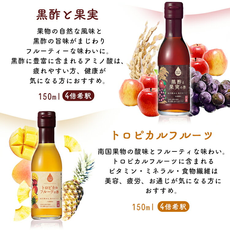 【6本セット】フルーツビネガー全種セットFV-30A内堀フルーツビネガー飲用酢りんご酢ざくろぶどうとブルーベリーレモンライム水割り炭酸割飲む酢【D】