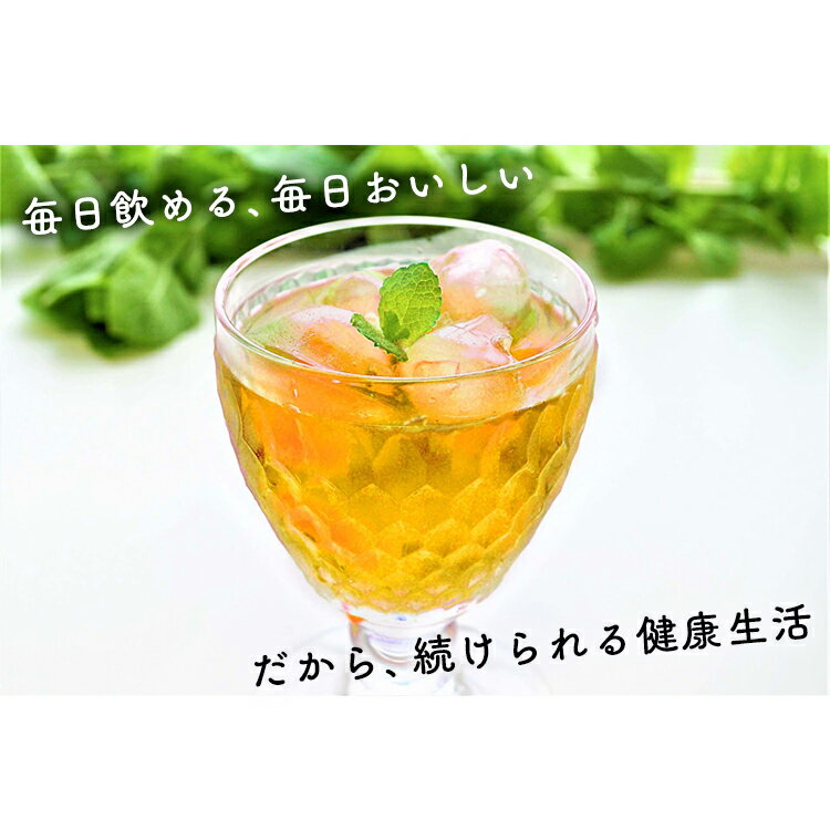 【6本セット】フルーツビネガー全種セットFV-30A内堀フルーツビネガー飲用酢りんご酢ざくろぶどうとブルーベリーレモンライム水割り炭酸割飲む酢【D】