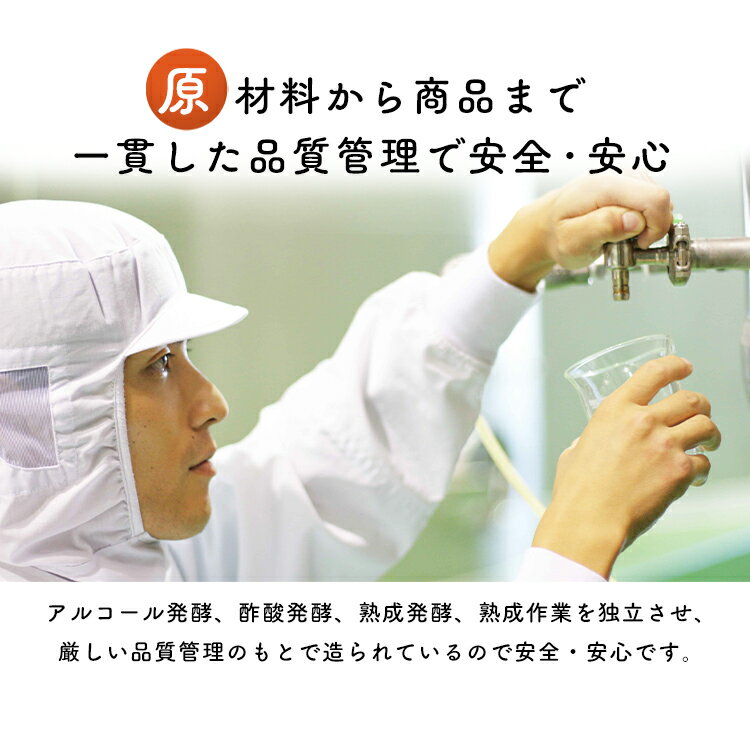 【6本セット】フルーツビネガー全種セットFV-30A内堀フルーツビネガー飲用酢りんご酢ざくろぶどうとブルーベリーレモンライム水割り炭酸割飲む酢【D】
