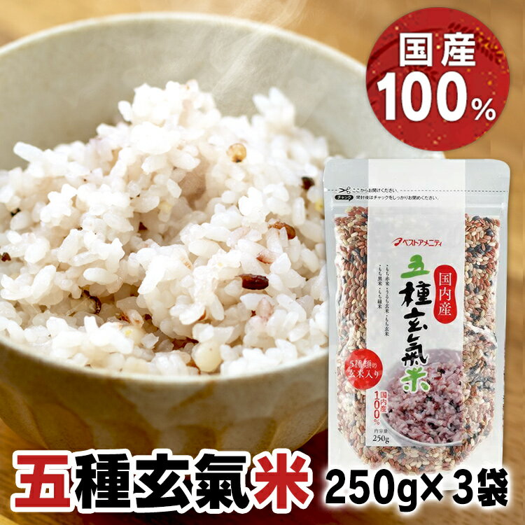 【3袋】 雑穀米 国産 五種玄氣米 250g 送料無料 雑穀 雑米 複数原料米 パック 5種 玄氣米 国内産 玄米 もち赤米 うるち玄米 もち玄米 もち黒米 もち緑米 うるち もち 健康 栄養 栄養補給 美容 ベストアメニティ【B】【メール便】【代金引換・日時指定不可】のサムネイル