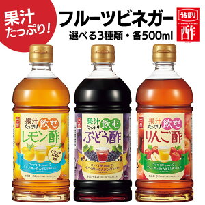 酢 フルーティ 調味料 飲みやすい 酢 お酢 りんご酢 果汁たっぷり飲む酢 500ml 内堀醸造 フルーツビネガー 飲む酢 ビネガードリンク 飲むりんご酢 酢ドリンク ぶどう酢 レモン酢 お祝い お返し 贈答品 御祝 【D】[10up]