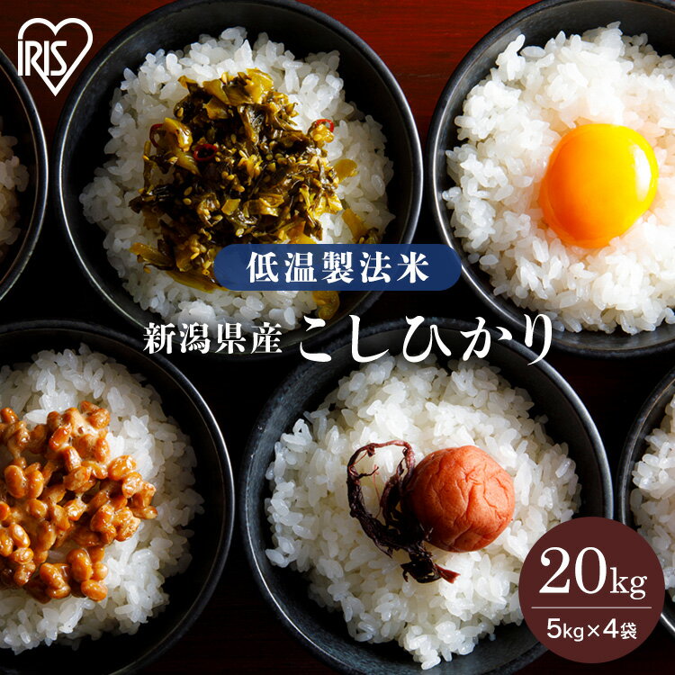 米 20kg 送料無料 米20kg お米 こしひかり 千葉県産 令和3年度産 一等米 低温製法米 アイリスオーヤマ 白米 精米 精白米 千葉県産こしひかり【あす楽】