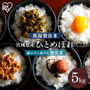 米 5kg 無洗米 送料無料