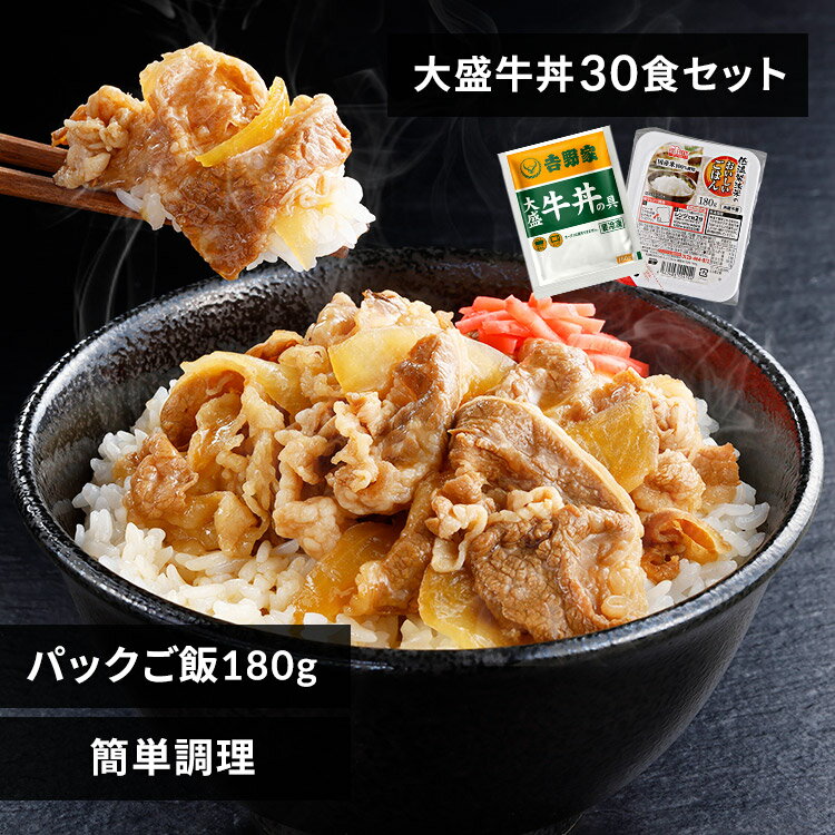 吉野家 牛丼 冷凍食品 パックご飯 吉野家 冷凍牛丼の具 大盛 160g 30食セット パックご飯 180g×40パック 送料無料 牛…