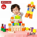 【365日出荷&当店限定特典付】ボイラ エデュテ 積み木 知育 木のおもちゃ 子供 室内 遊び おもちゃ 知育玩具 木製 ブロック 1歳 2歳 3歳 孫 誕生日...