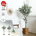 【当店限定特典付】人工観葉植物 フェイクグリーン 床置き フロア 高150cm 造花 インテリア グリーン 大型 ユーカリ オリーブ アーティフィシャル 飾り ...