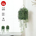 【当店限定特典付】人工観葉植物 フェイクグリーン 吊り下げ ハンギング 多肉 造花 インテリア グリーン アーティフィシャル 飾り おしゃれ ギフト 新築祝い ...