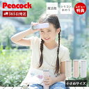 【365日出荷&当店限定特典付】ミニアイスパック ポケット ネッククーラー 氷のう 氷嚢 熱中症対策 暑さ対策 猛暑対策 グッズ 長時間 保冷剤 通勤 通学 首...