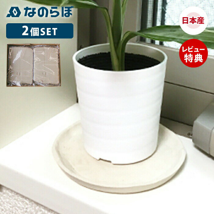 【当店限定特典付】なのらぼ スーパー珪藻土 ねんど 粘土 珪藻土 2個 セット 日本製 湿気対策 劣化防止 速乾 吸水 抗菌 消臭 脱臭 ノンアスベスト 食品 乾燥 除湿 調湿 防カビ 革製品 保存 保管 工作 国産 MUマテックス 収納