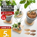 【365日出荷&当店限定特典付き】山崎実業 インテリア低台車 リン ラウンド スクエア RIN 公式 平台車 ドーリー コンパクト 家庭用 キャスター付き 耐荷重30kg 木目柄 観葉植物 押し入れ ホワイト ブラック 10062 10064 yamazaki