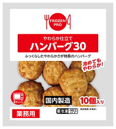 [冷凍] 伊藤ハム やわらか仕立てハンバーグ30 (300g)×20パック（業務用）