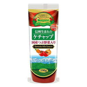 ナガノトマト 国産つぶ野菜入り信州生まれのトマトケチャップ 295g×15本（1ケース）