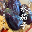 《冷蔵》 大阪天満・田村商店 【夏季限定】水茄子(大阪・泉州産) 6個セット