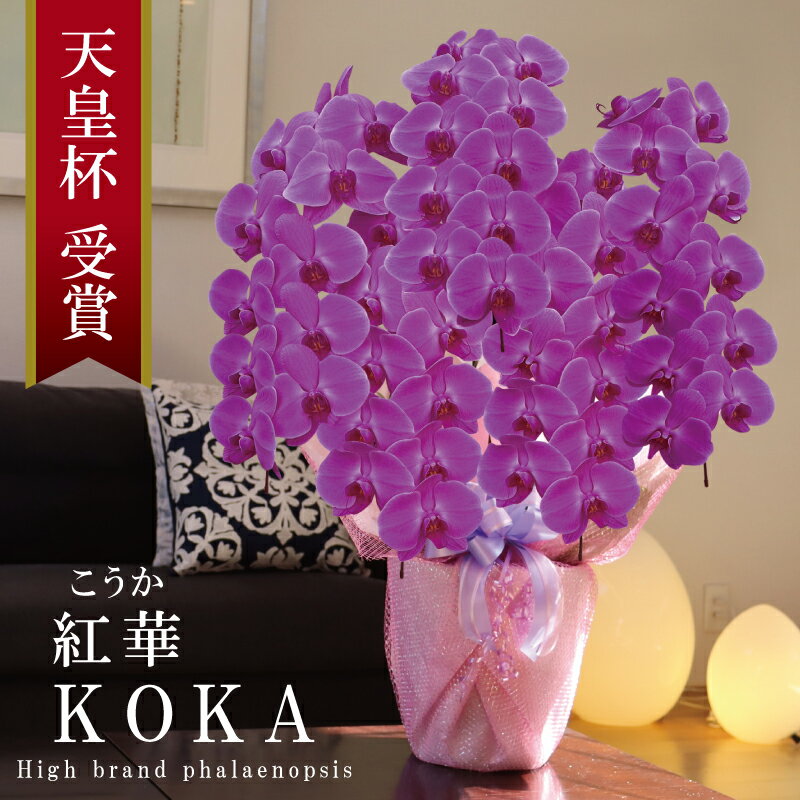 純国産 胡蝶蘭 花持ち長い 大輪 5本立ち 55輪〜 【紅華（こうか）濃いピンク】 蕾 画像配信 産地温室直送 お祝い プレゼント 花 ギフト 特別 日本育ち 贈り物 母の日 お供え お誕生日 開店祝い 開業祝い 移転祝い 就任祝い 昇進祝い 当選祝い 記念日 当日発送 日本橋 銀座