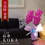 純国産 胡蝶蘭 花持ち長い 大輪2本立ち 18輪〜 【紅華(こうか)濃いピンク】 蕾 画像配信 産地温室直送 お祝い プレゼント 花 ギフト 特別 日本育ち 贈り物 母の日 お供え お誕生日 開店祝い 開業祝い 移転祝い 就任祝い 昇進祝い 当選祝い 記念日 当日発送 日本橋 銀座 10,000円