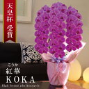 純国産 胡蝶蘭 花持ち長い 大輪3本立ち 42輪〜 【紅華(こうか)濃いピンク】 蕾 画像配信 産地温室直送 お祝い プレゼント 花 ギフト 特別 日本育ち 贈...