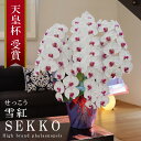 純国産 胡蝶蘭 花持ち長い 大輪 5本立ち 55輪〜 【雪紅(せっこう)白赤】蕾 画像配信 産地温室直送 お祝い プレゼント 花 ギフト 特別 日本育ち 贈り物...
