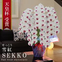 純国産 胡蝶蘭 花持ち長い 大輪5本立ち 63輪〜 【雪紅(せっこう)白赤】 蕾 画像配信 産地温室直送 お祝い プレゼント 花 ギフト 特別 日本育ち 贈り物...