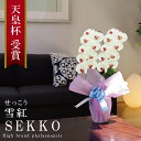 純国産 胡蝶蘭 花持ち長い 大輪2本立ち 18輪〜 【雪紅(せっこう)白赤】 蕾 画像配信 産地温室直送 お祝い プレゼント 花 ギフト 特別 日本育ち 贈り物...