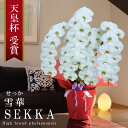 純国産 胡蝶蘭 花持ち長い 大輪 5本立ち 55輪〜 【雪華(せっか)白】 蕾 画像配信 産地温室直送 お祝い プレゼント 花 ギフト 特別 日本育ち 贈り物 ...