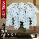 【プレミアム】純国産 胡蝶蘭 花持ち長い 大輪10本立ち 100輪〜 100,000円【雪華(せっか)白】 画像配信 産地直送 お祝い プレゼント 花 贈り物 ...