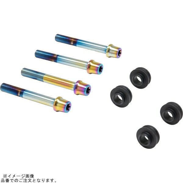 PLOT brembo プロトブレンボ CBK-05BTT オフセットカラーマウントボルトセット 適合キャリパーB テーパーキャップ チタン色 ZX-4RR/ZX-4R SE φ290(ノーマル)